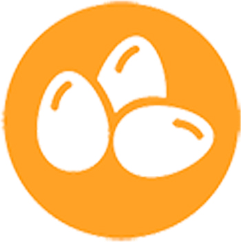 eggs