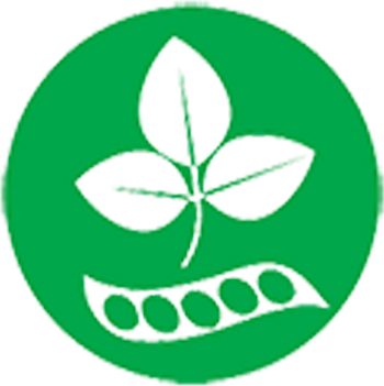 soybeans